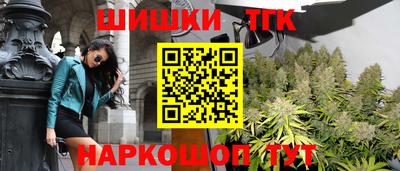 крисы Бийск