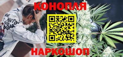 крисы Бийск