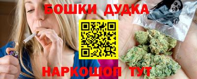 крисы Бийск