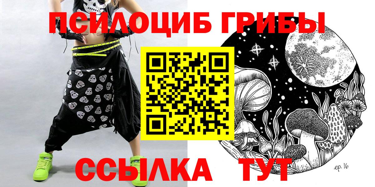 наркота  Псилоцибиновые грибы Psilocybine cubensis  Вход с VPN  Дербент 