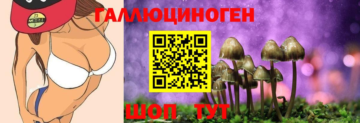 Галлюциногенные грибы мухоморы Дербент